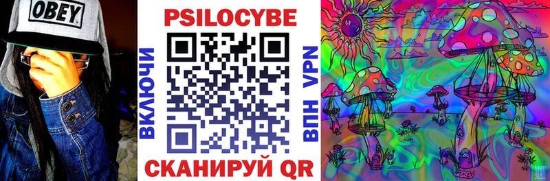 Купить где Мензелинск Псилоцибиновые грибы Psilocybine cubensis